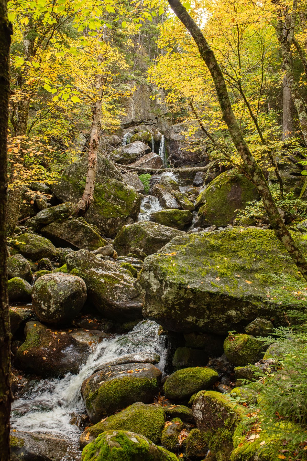 Hitchcock Falls