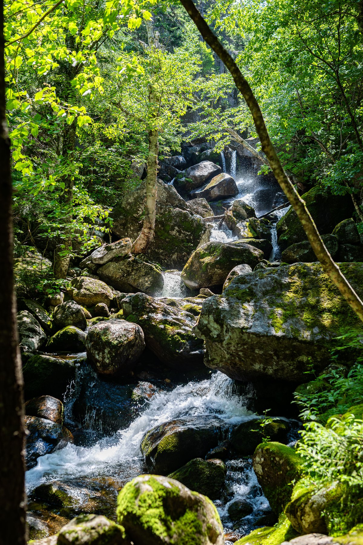 Hitchcock Falls - photo 2
