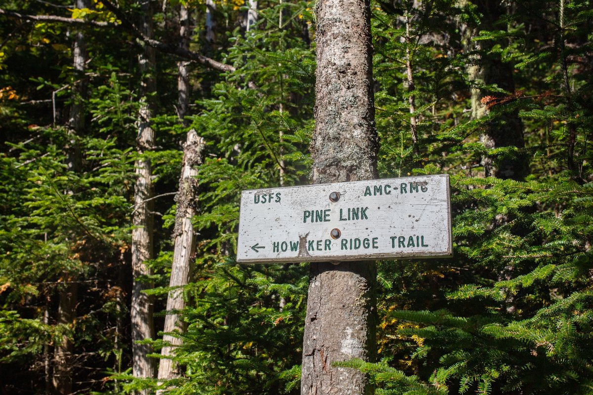 Pine Link Trail Junction