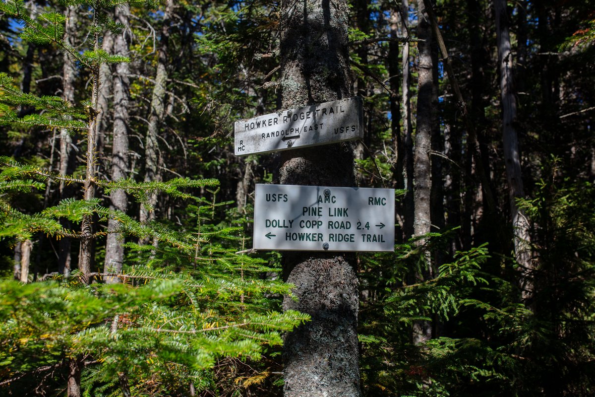 Pine Link Trail Junction - photo 2