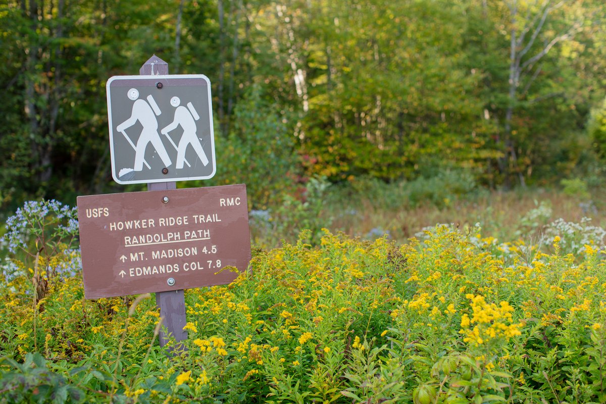 Randolph Path Junction