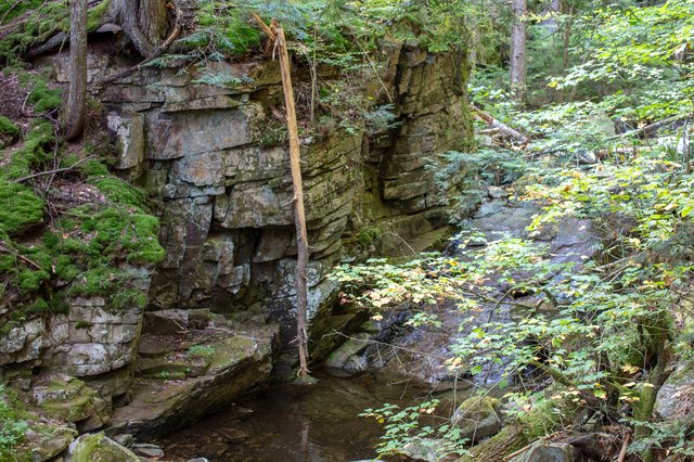 Looking down into the narrow gorge of Devil’s Kitchen, with mossy rock walls and swirling water.