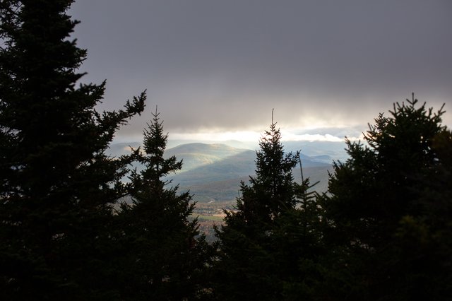 View across Bumpus Basin to the forested crest of Gordon Ridge.