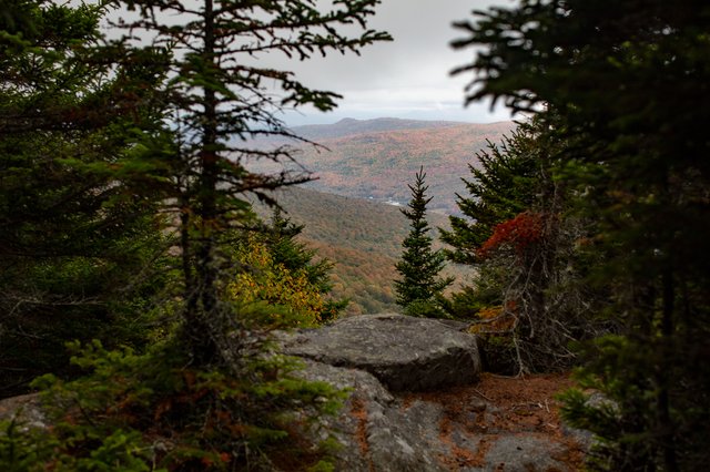 Rocky ledge at Kelton Crag with evergreens and distant hills.
