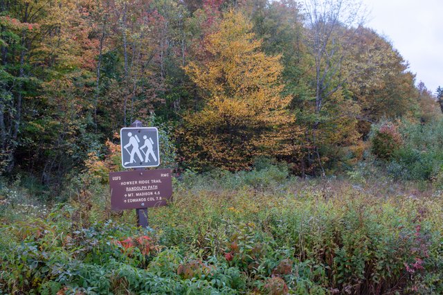 Hiking trailhead sign amid colorful autumn brush near the road.